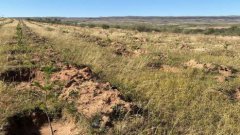 HondaڻҵֲֹǧĶ ʮ ɫŵ